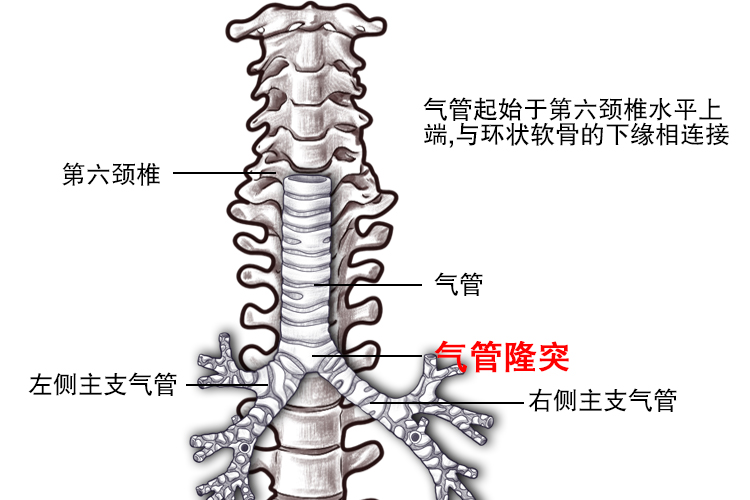 迅果-高效安全的批量处理方案下载的任务队列界面